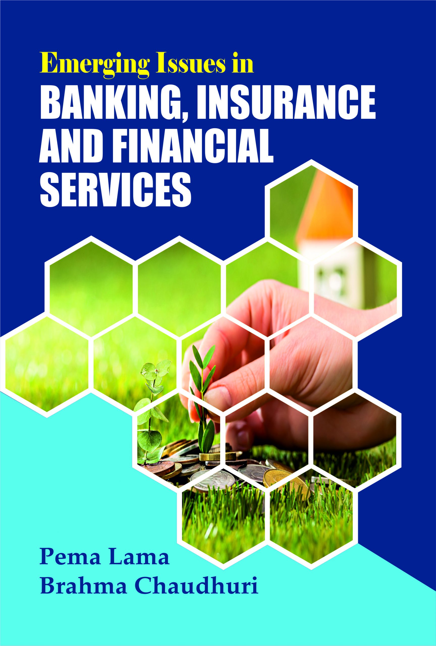 Emerging Issues in Banking, Insurance and Financial Services (EIBIFS)