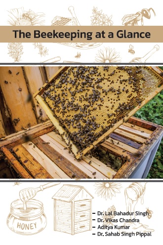 The Beekeeping at a Glance